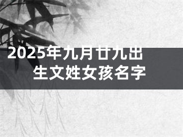 2025年九月廿九出生文姓女孩名字