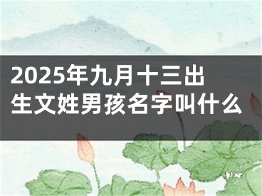 2025年九月十三出生文姓男孩名字叫什么