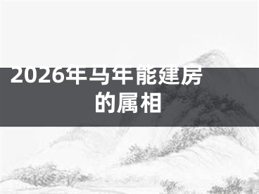 2026年马年能建房的属相