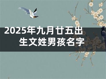 2025年九月廿五出生文姓男孩名字