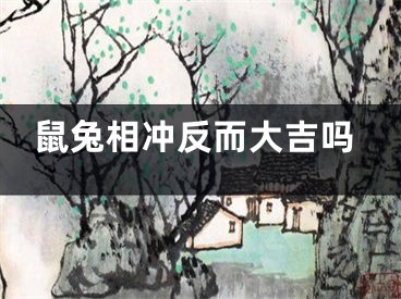 鼠兔相冲反而大吉吗