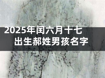 2025年闰六月十七出生郝姓男孩名字