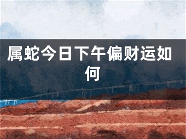 属蛇今日下午偏财运如何