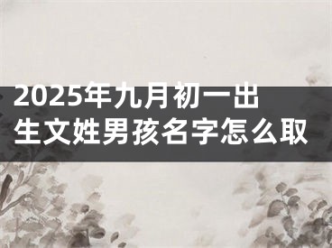 2025年九月初一出生文姓男孩名字怎么取