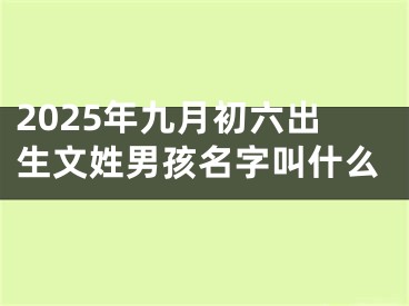 2025年九月初六出生文姓男孩名字叫什么