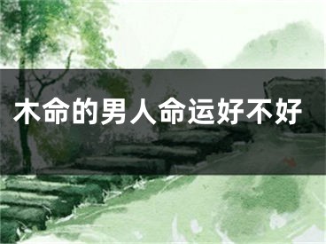 木命的男人命运好不好
