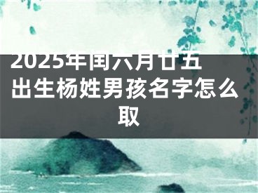 2025年闰六月廿五出生杨姓男孩名字怎么取
