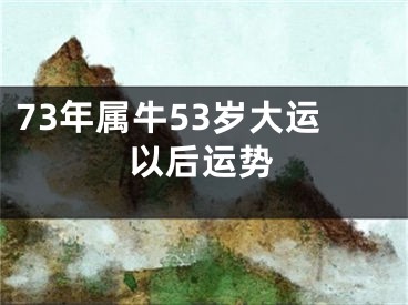 73年属牛53岁大运以后运势