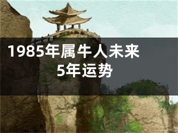 1985年属牛人未来5年运势