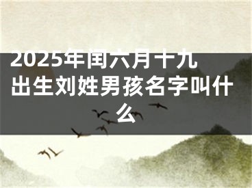 2025年闰六月十九出生刘姓男孩名字叫什么