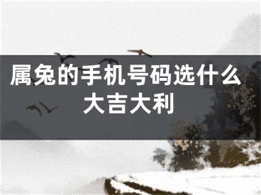 属兔的手机号码选什么大吉大利