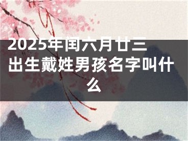 2025年闰六月廿三出生戴姓男孩名字叫什么