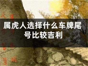 属虎人选择什么车牌尾号比较吉利