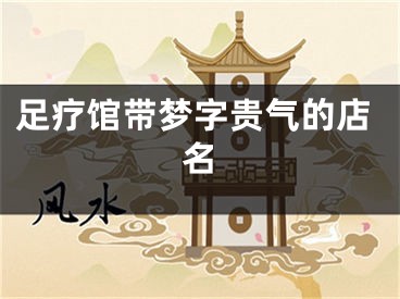 足疗馆带梦字贵气的店名