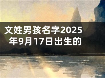 文姓男孩名字2025年9月17日出生的