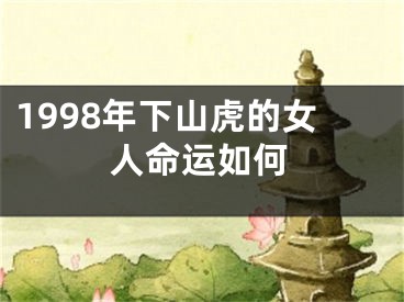 1998年下山虎的女人命运如何