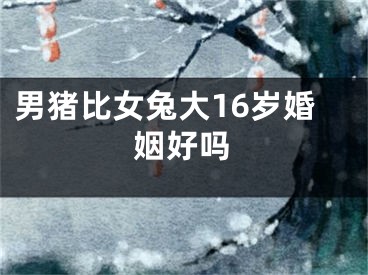 男猪比女兔大16岁婚姻好吗