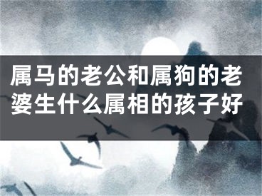属马的老公和属狗的老婆生什么属相的孩子好