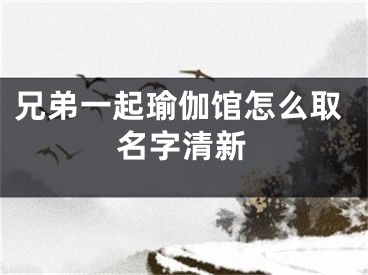 兄弟一起瑜伽馆怎么取名字清新