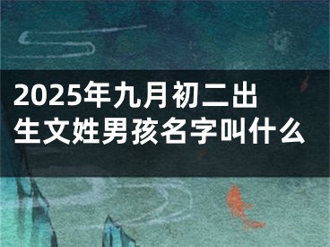 2025年九月初二出生文姓男孩名字叫什么