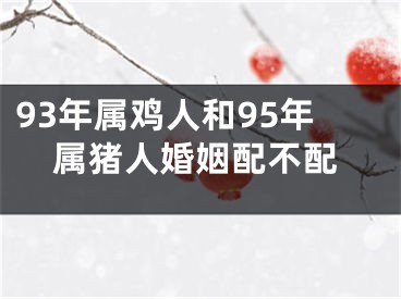 93年属鸡人和95年属猪人婚姻配不配
