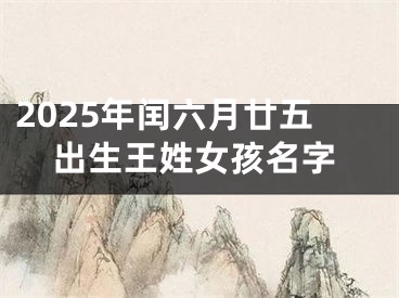 2025年闰六月廿五出生王姓女孩名字