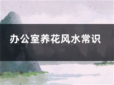 办公室养花风水常识