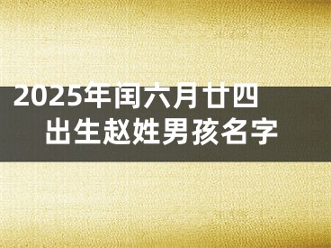 2025年闰六月廿四出生赵姓男孩名字