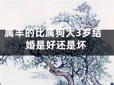属羊的比属狗大3岁结婚是好还是坏