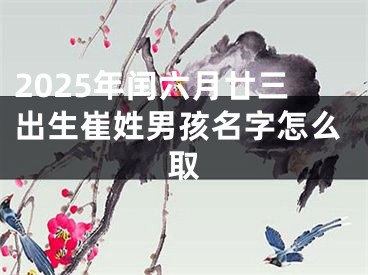 2025年闰六月廿三出生崔姓男孩名字怎么取