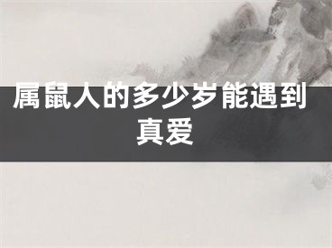 属鼠人的多少岁能遇到真爱