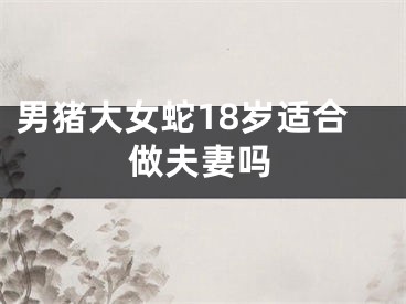 男猪大女蛇18岁适合做夫妻吗