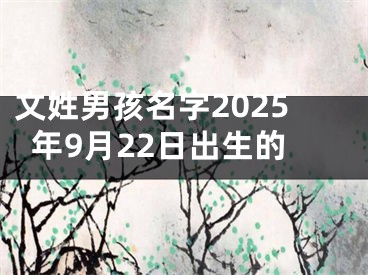 文姓男孩名字2025年9月22日出生的