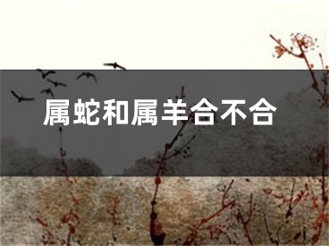 属蛇和属羊合不合