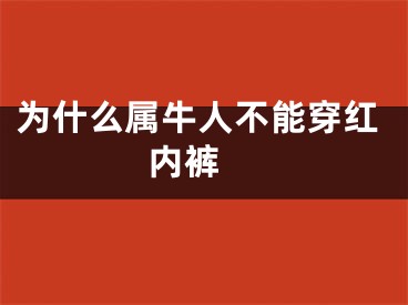 为什么属牛人不能穿红内裤 