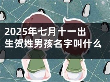 2025年七月十一出生贺姓男孩名字叫什么
