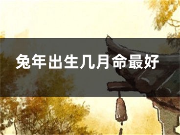 兔年出生几月命最好