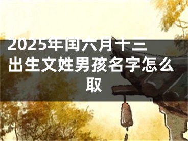 2025年闰六月十三出生文姓男孩名字怎么取