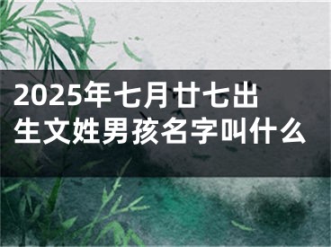 2025年七月廿七出生文姓男孩名字叫什么