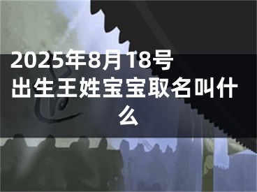 2025年8月18号出生王姓宝宝取名叫什么