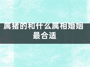 属猪的和什么属相婚姻最合适