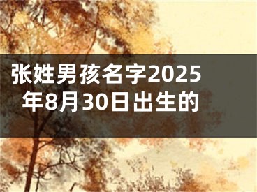 张姓男孩名字2025年8月30日出生的