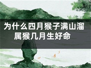 为什么四月猴子满山溜 属猴几月生好命
