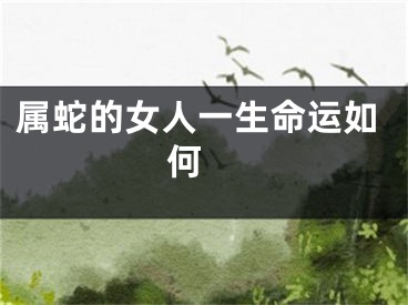 属蛇的女人一生命运如何 