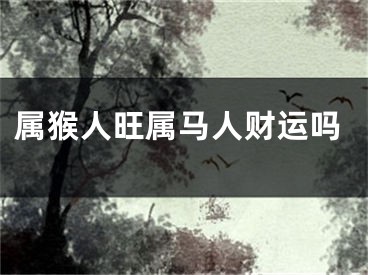 属猴人旺属马人财运吗