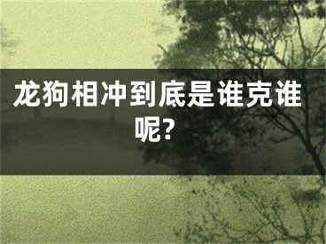 龙狗相冲到底是谁克谁呢?