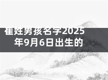 崔姓男孩名字2025年9月6日出生的