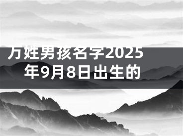万姓男孩名字2025年9月8日出生的