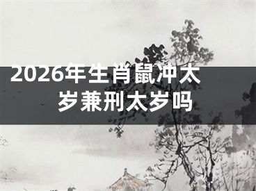 2026年生肖鼠冲太岁兼刑太岁吗