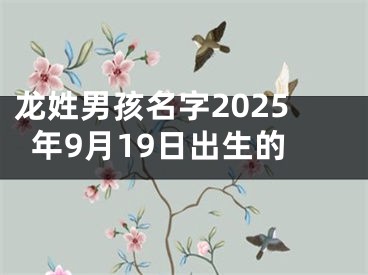 龙姓男孩名字2025年9月19日出生的